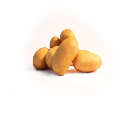 Miniatuur 2