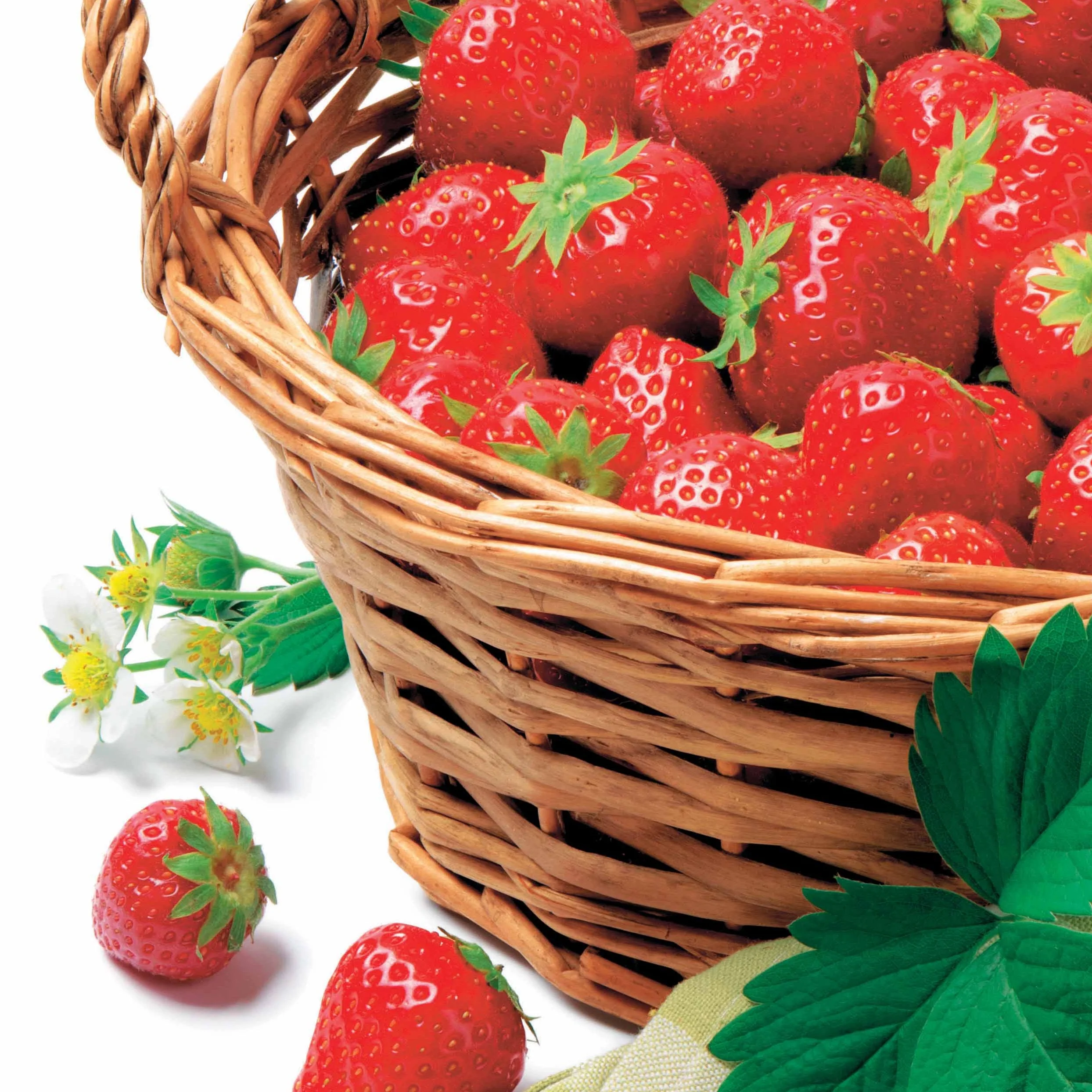 Aardbei 'Manille®'