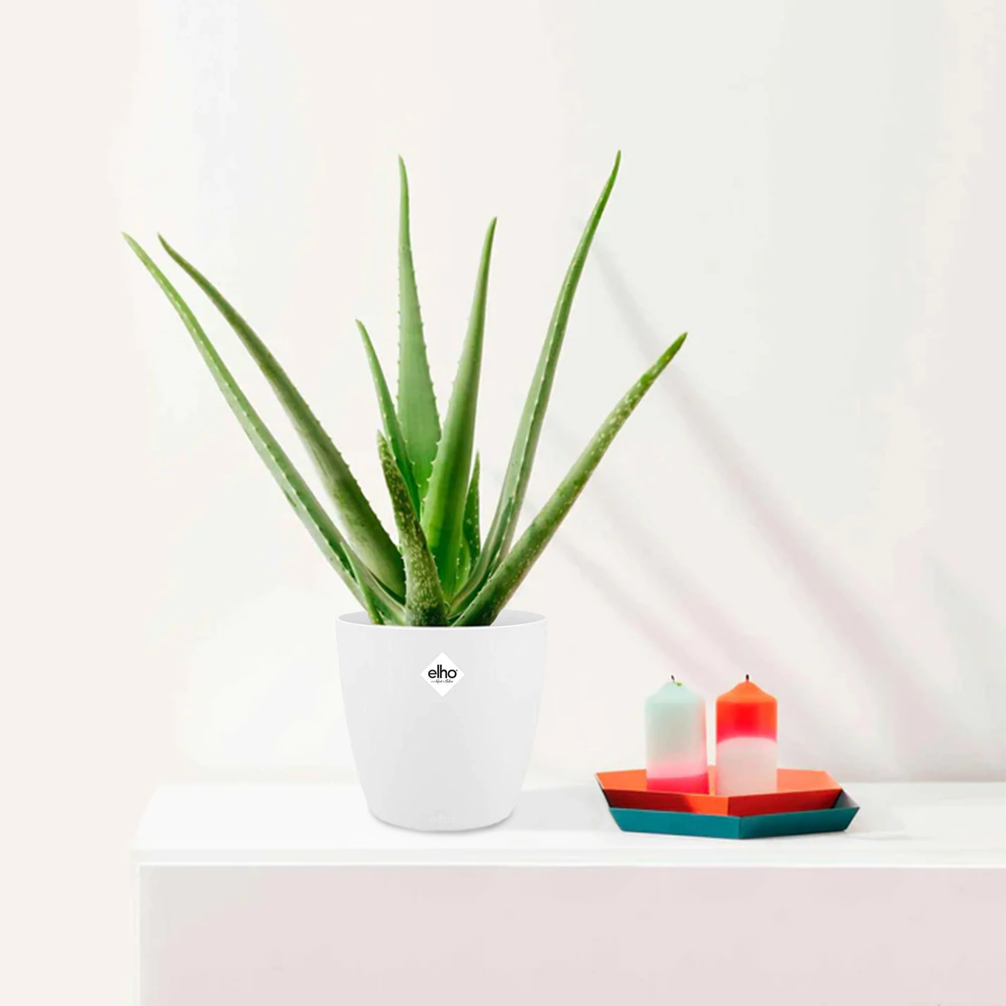 Miniatuur 1