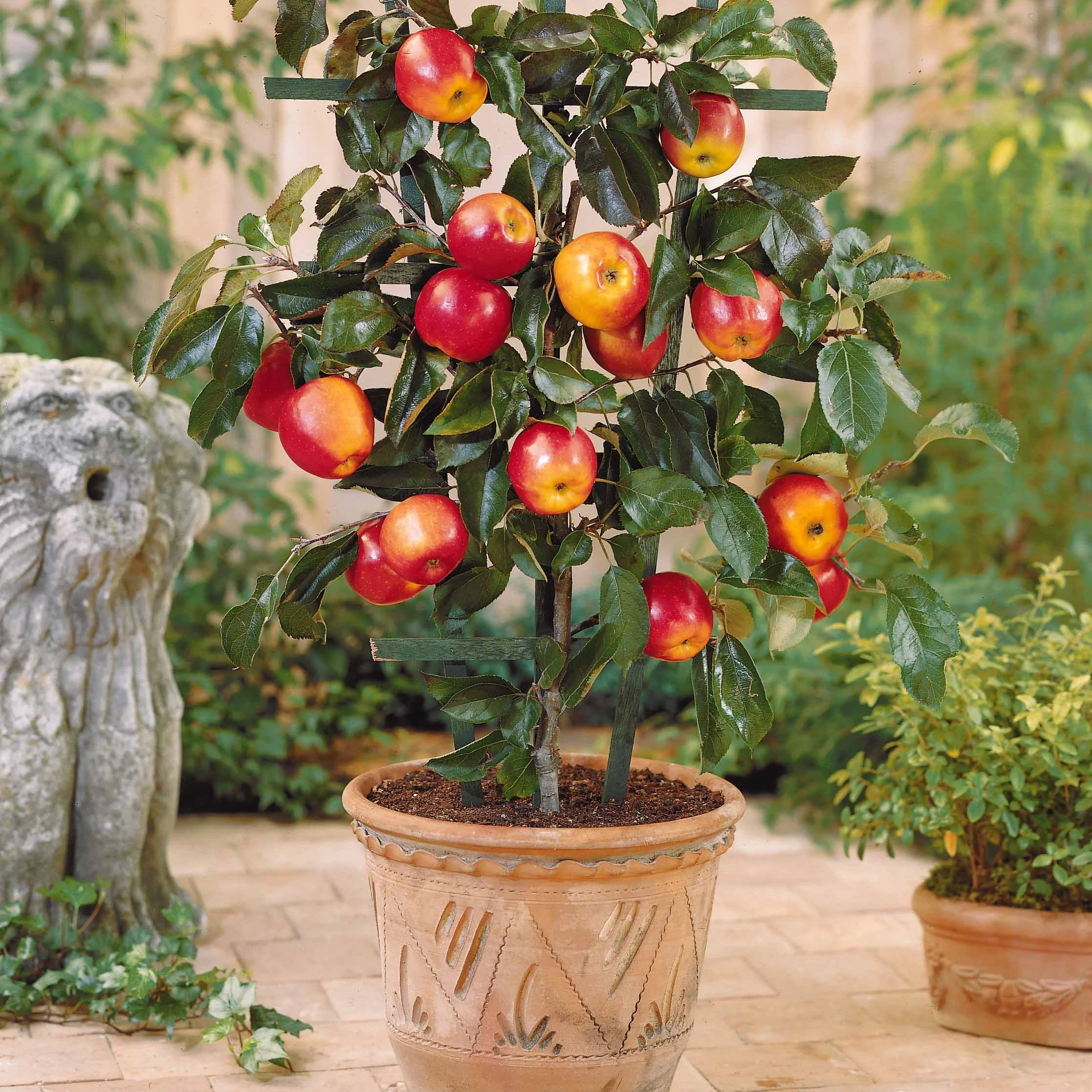 Miniatuur 2