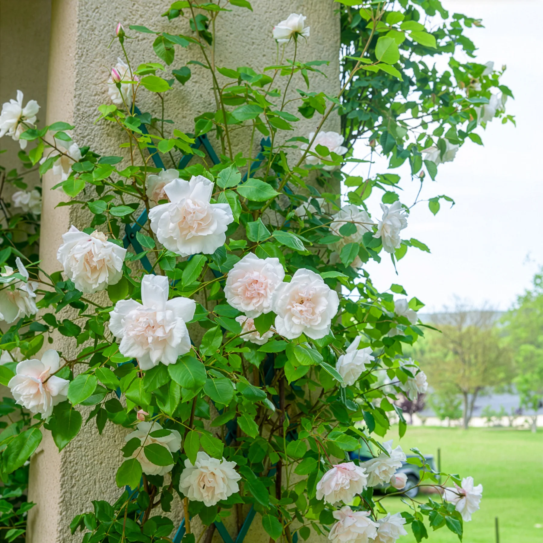 Miniatuur 2