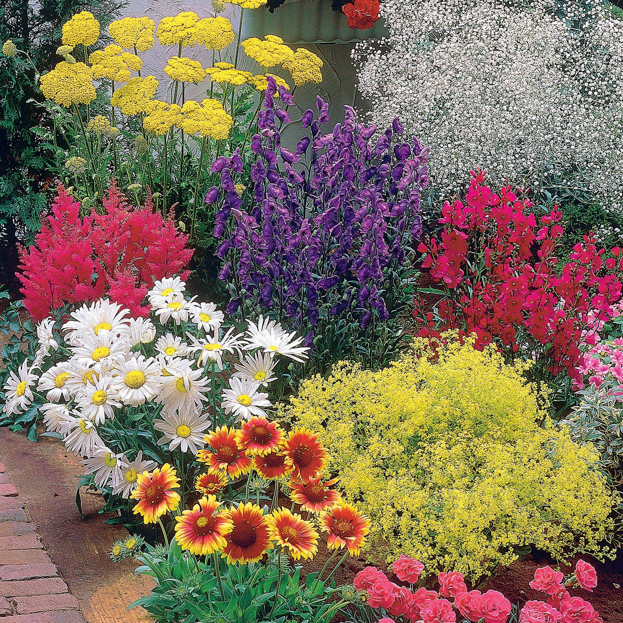 Miniatuur 2