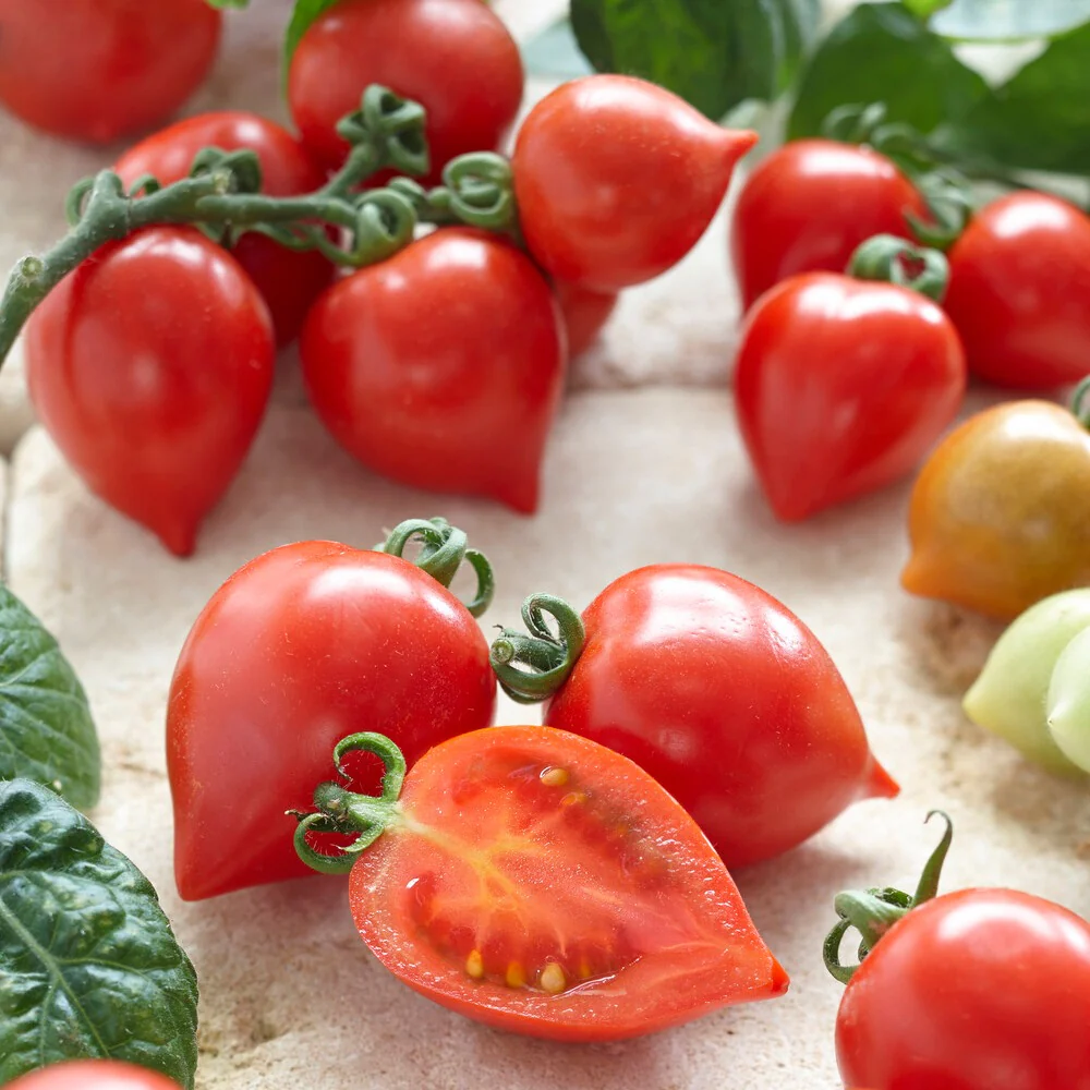 Tomate-cerise Coeur d'amour - Image 2