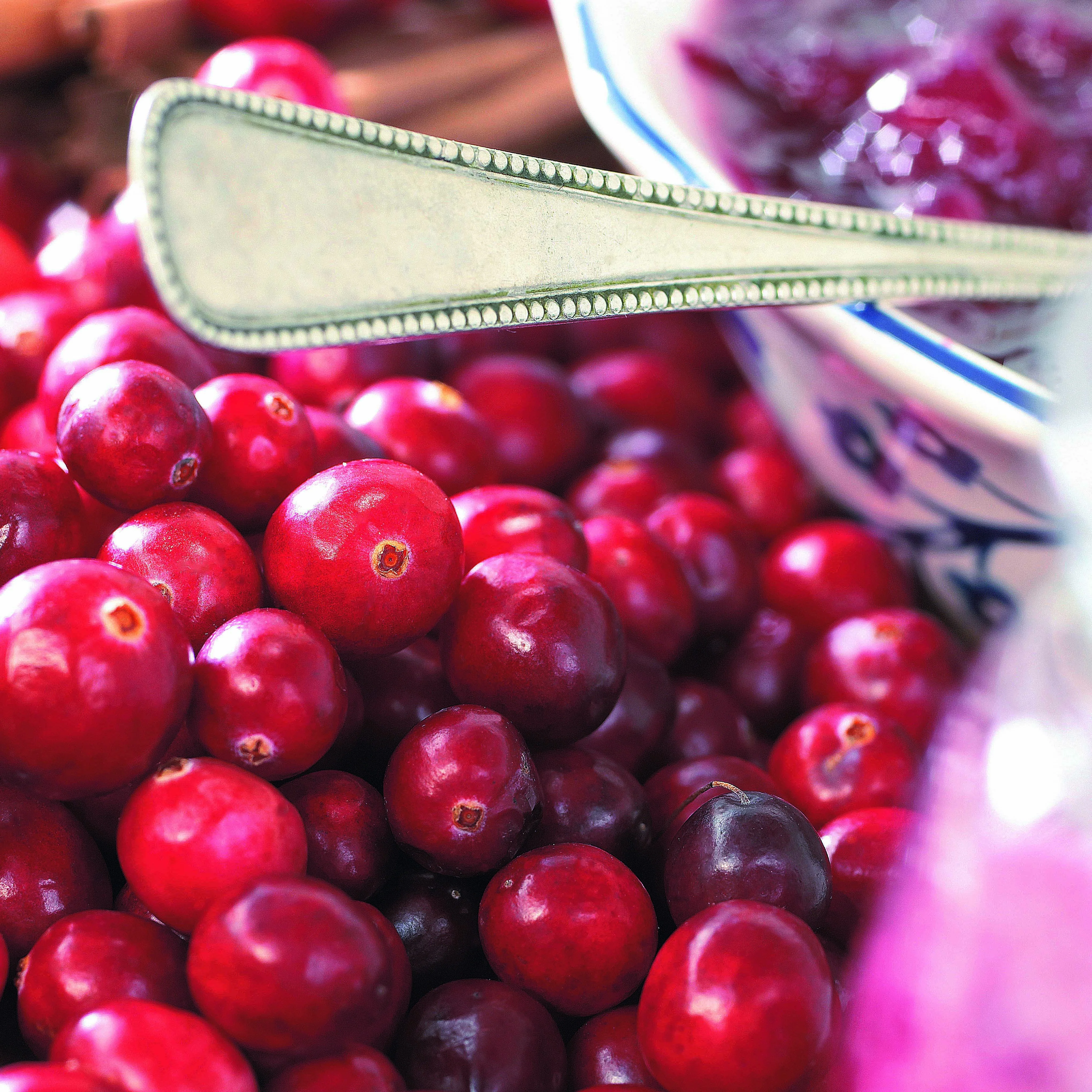 Veenbes (Cranberry) - Image 6