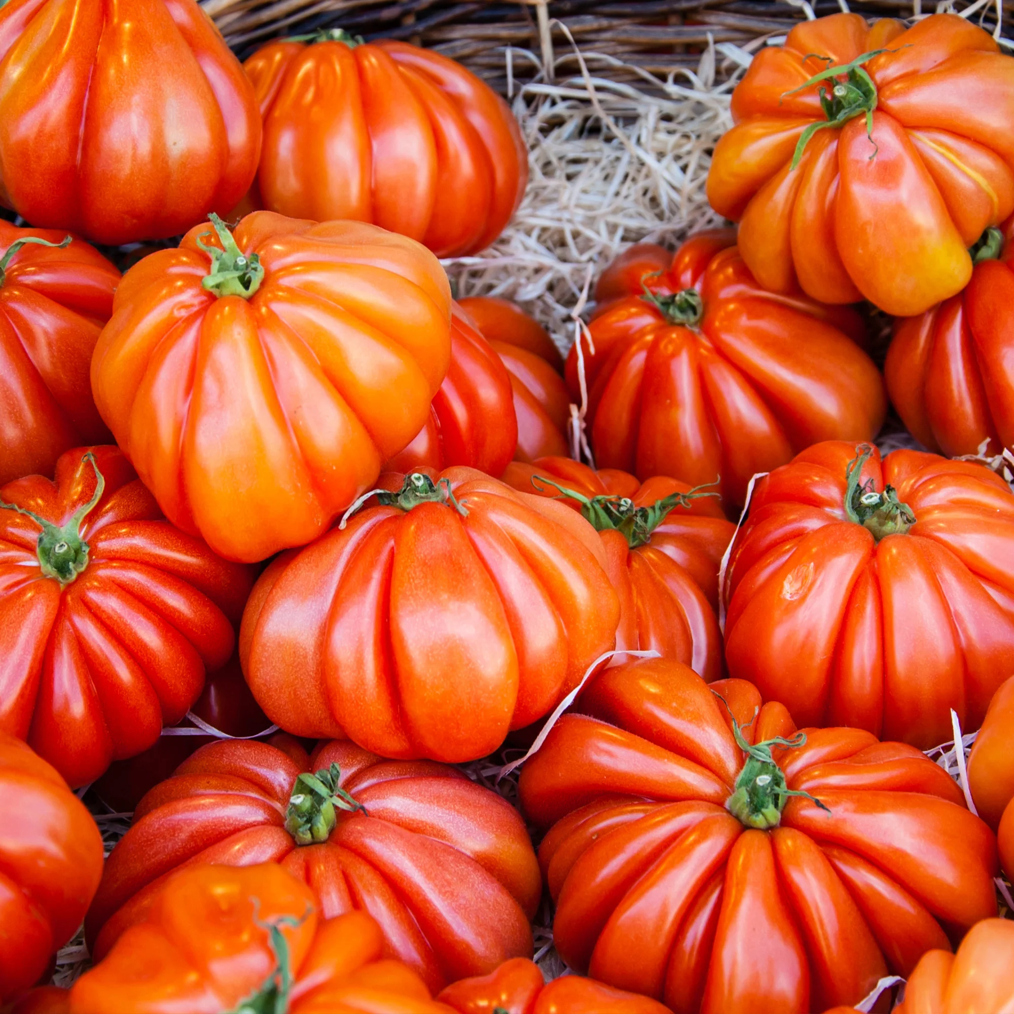 Vleestomaat 'Beefsteak'