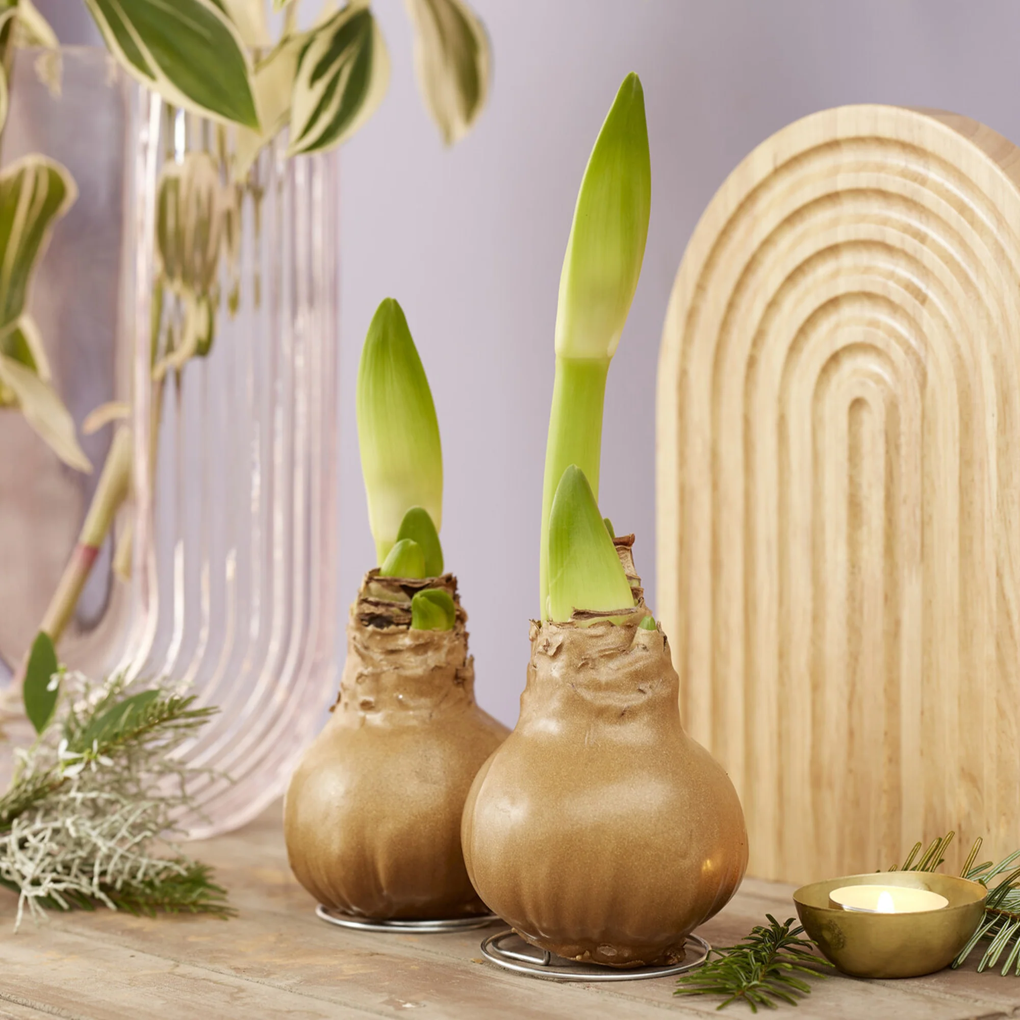 Miniatuur 1